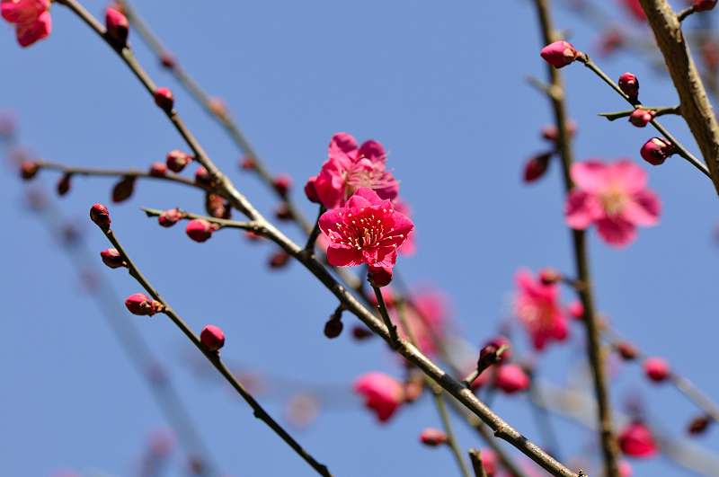 image0277
