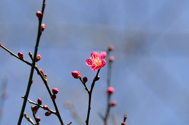 image0278