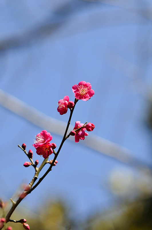 image0279