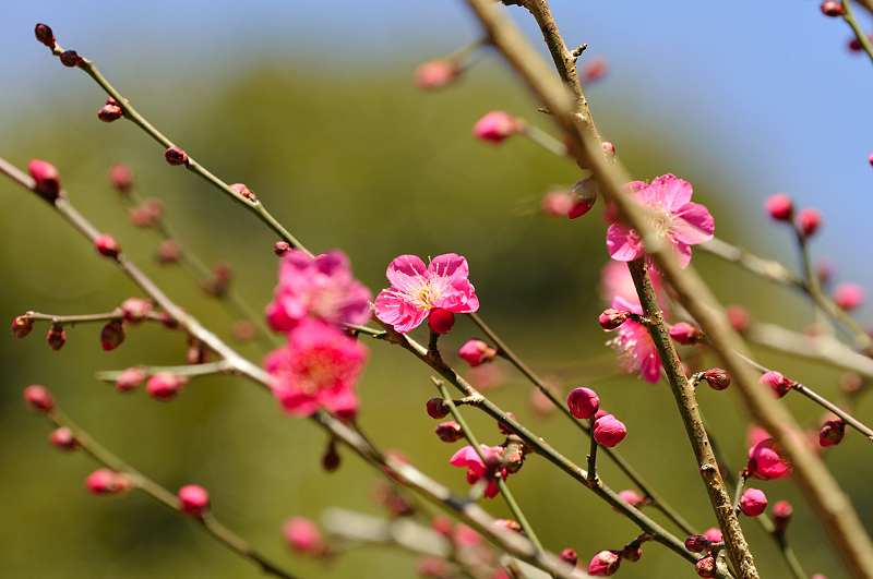 image0280