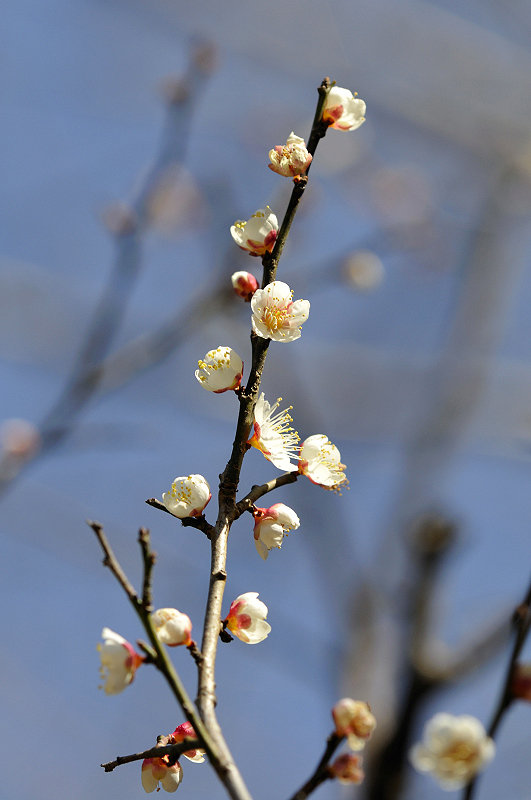 image0282
