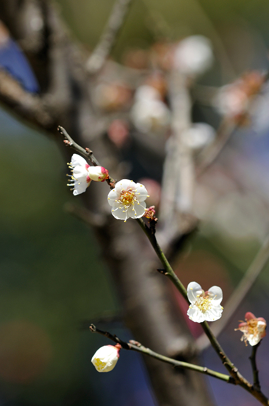 image0283