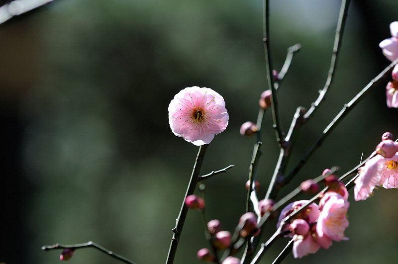 image0284