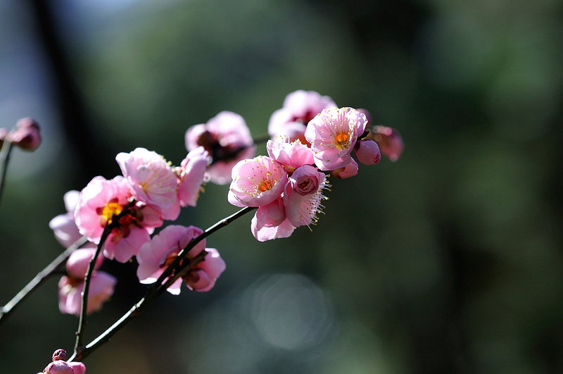 image0285