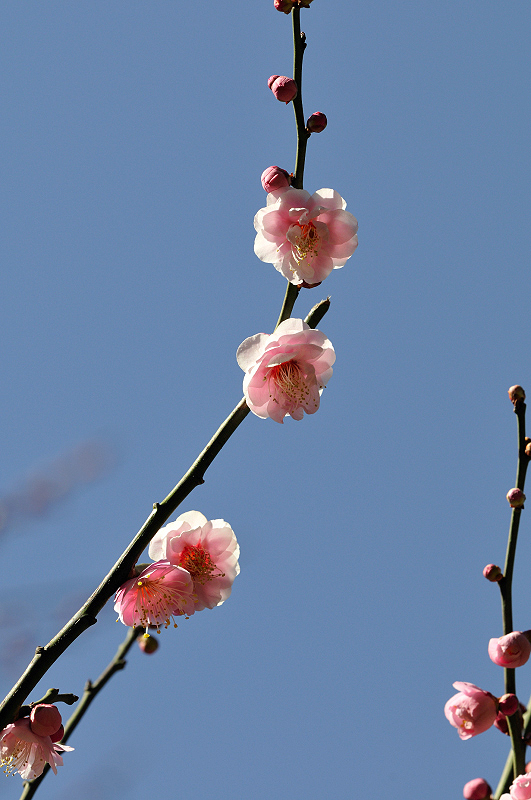 image0287
