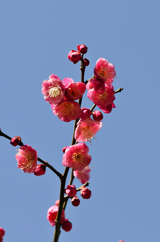image0289