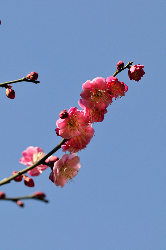 image0290
