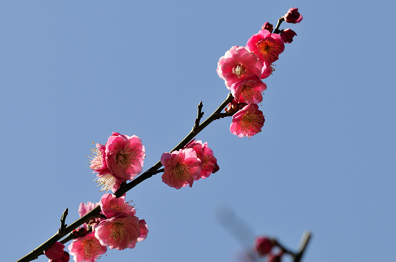 image0291