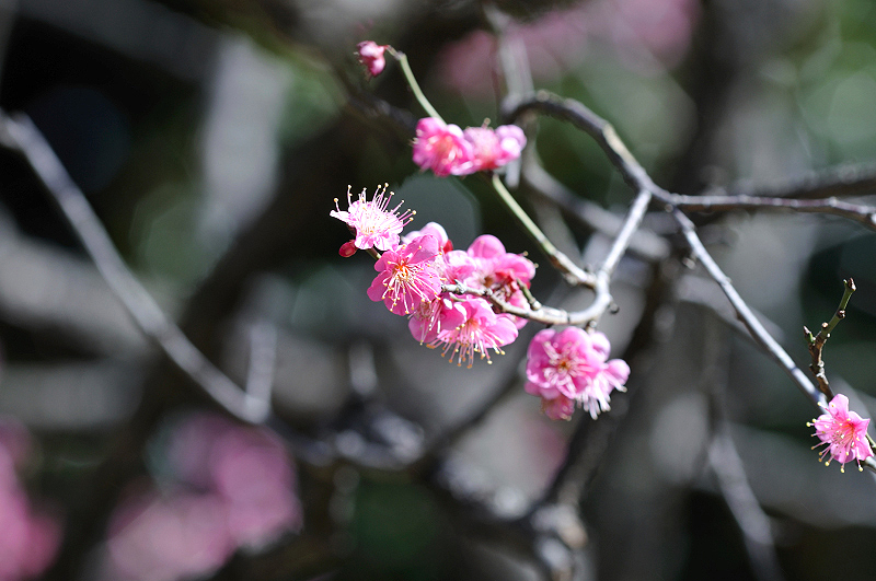 image0294