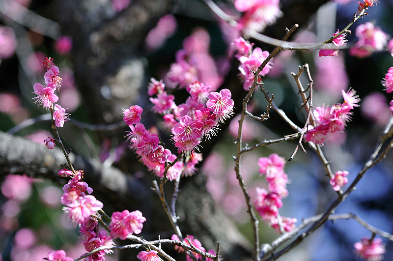 image0295