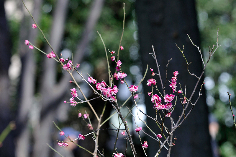 image0297