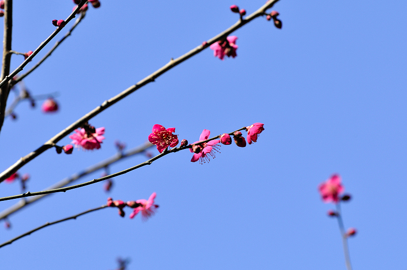 image0300