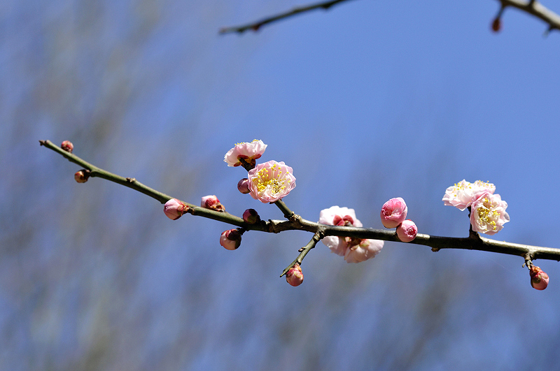 image0301