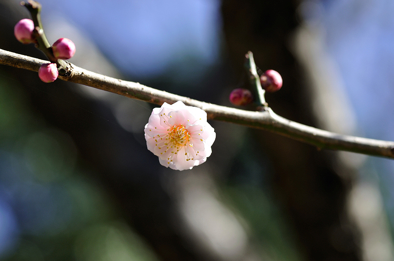 image0303