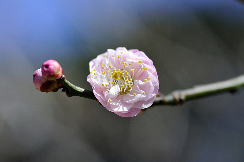 image0304
