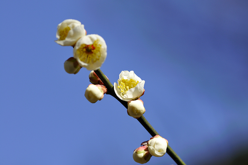 image0305