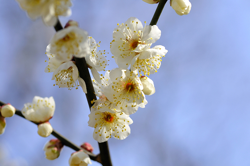 image0306