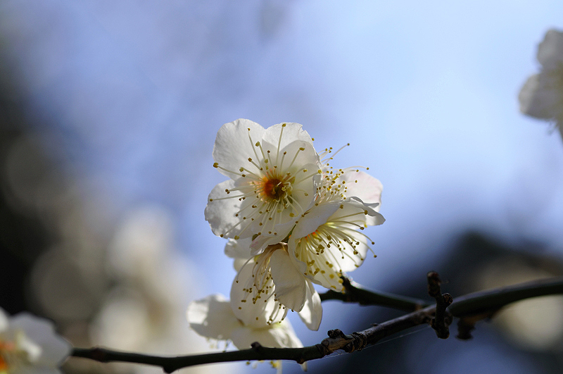 image0307