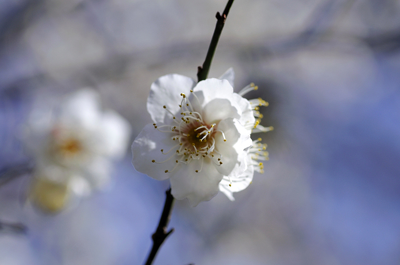 image0308