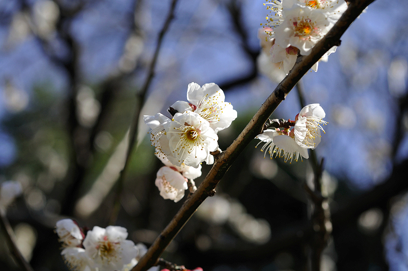 image0315