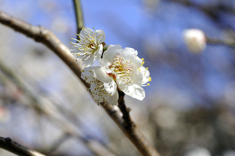 image0317