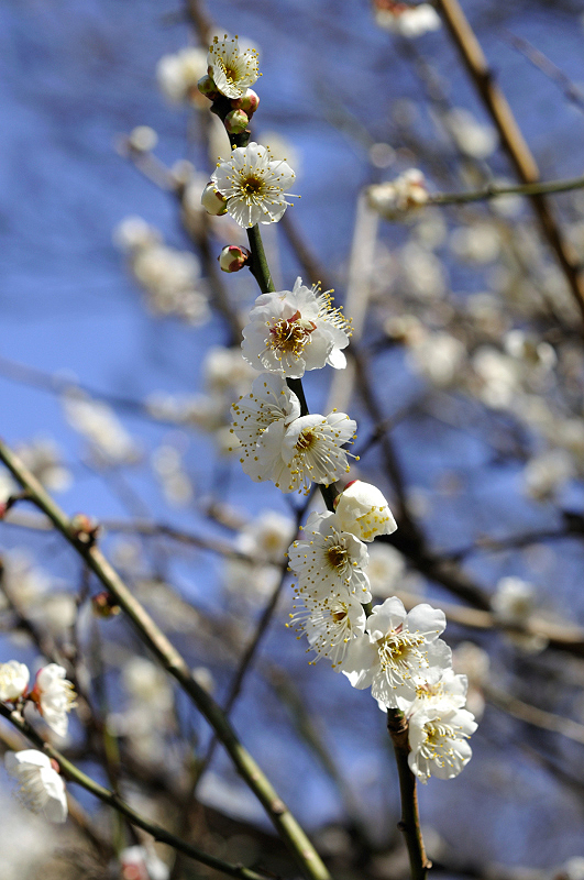 image0318