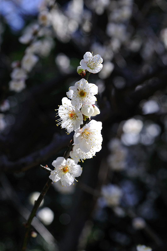 image0319