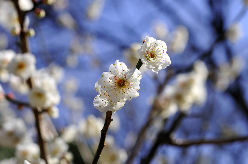 image0320