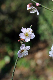 image0128