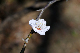 image0130