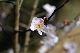image0131