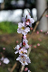 image0132