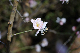 image0133