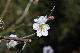 image0134