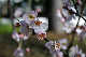image0135