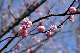 image0137