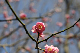image0138