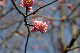 image0139