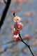 image0140