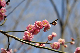 image0143