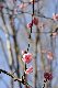 image0144