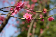 image0147