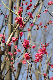 image0151