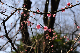 image0153