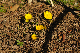 image0161
