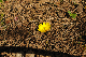 image0162