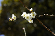 image0171