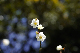 image0172