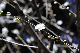 image0173