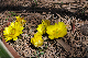 image0174